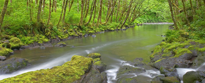 page-header-7